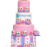 12 Owls - First Birthday Cake