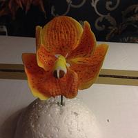 Vanda orchid from gumpaste