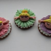 ballerina biscuits