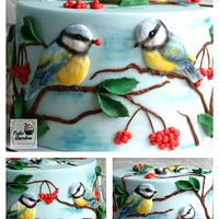 Tomtit birds cake