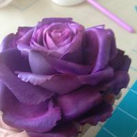 Lavender freeform rose