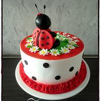 Ladybug cake