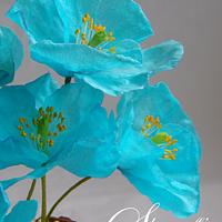 Wafer Paper Blue Himalayan Poppy