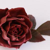 Chocolate rose ))