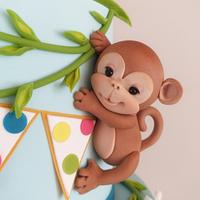 Baby monkeys