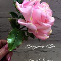'Only a rose' 'Only a rose'