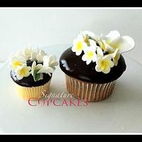 hawaiian frangipani lias cupcakes