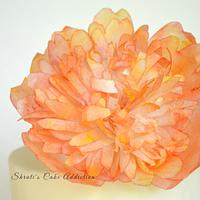 Wafer Paper Peony