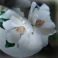 Magnolia Sugar Flowers