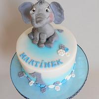 Elephant baby cake