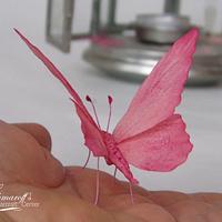 Wafer paper Butterfly 