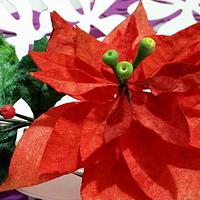 poinsettia in wafer paper