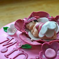 Pink Petal Baby Cake