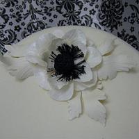 Black & white with anemone