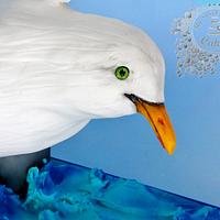 Seagull of Brighton