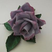 violet rose