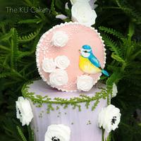Mini Cake Mini Cake