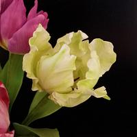 Tulip sugar flowers
