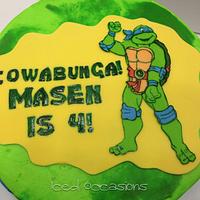 Teenage Mutant Ninja Turtle Birthday Cake