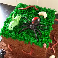 Bug cake