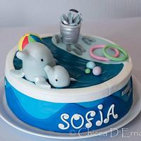 Dolphins for Sofia
