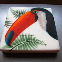 Cake whit toucan painting