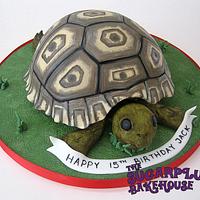 Leopard Tortoise Cake
