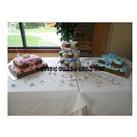 Baby Shower Cake For Twins