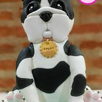 Cake Dog Cake Dog