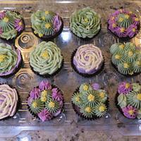 cactus flowers & succulents Swiss Meringue Buttercream cupcakes
