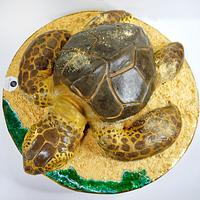 Sea turtle cake