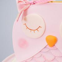 Owl Handbag Cake
