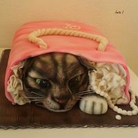 Curious cat Curious cat