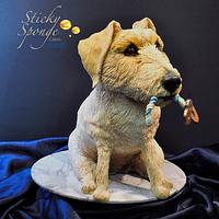 Log haired Jack Russell cake