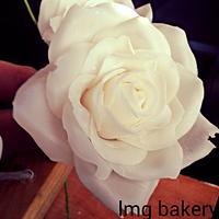 cold porcelain roses