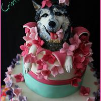 Flowers and dog cake