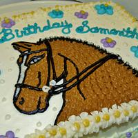Dressage Horse Cake in 100% Buttercream