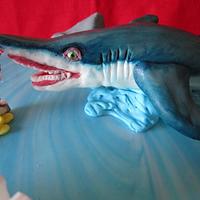 Hungry shark 🦈 