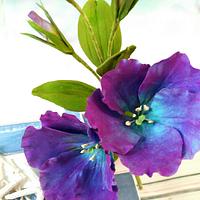 Playing with colours - free formed Eustoma ( Lisianthus) in blue and violet shades