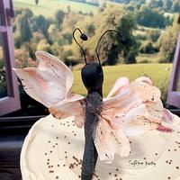 Butterfly cake:)