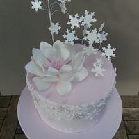 Winter Wonderland 1st anniversary cake