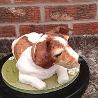 Jack Russell cake