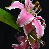 Lily gum paste flower