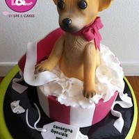 Chihuahua cake topper