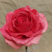 Wafer paper Rose