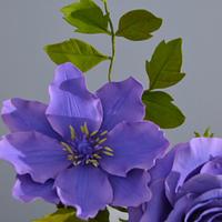Purple flowers- CPC Purple Collab
