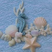 Seahorses and shells