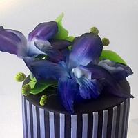 She is so blue orchid cake, da ba dee dabba da-ee
