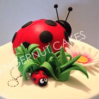 Ladybugs and Daisies