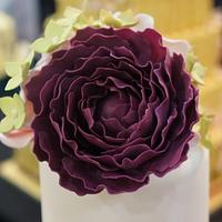 Rose, Peony & Hydrangea Wedding Cake - Cake International Entry